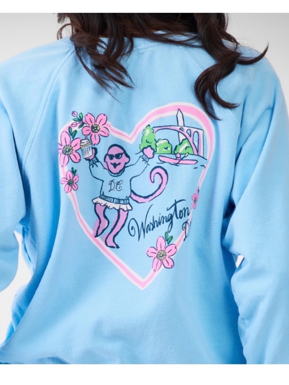 Roller Rabbit Washington DC sweatshirt with Cat (*NWT)